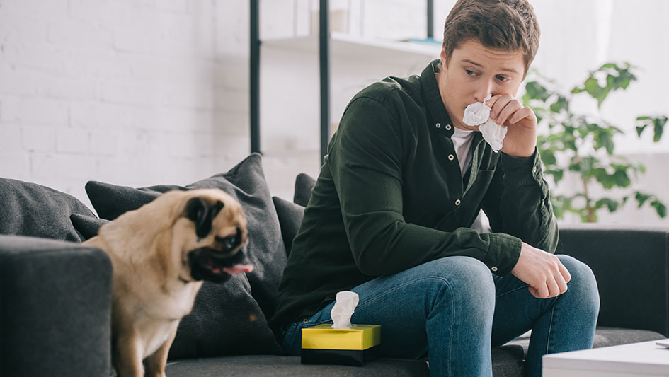 Installing an air purifier is one of the wisest ways to improve your residence’s indoor air quality. Discover more about the three top solutions. 